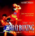 Muay Thai Kickboxing 